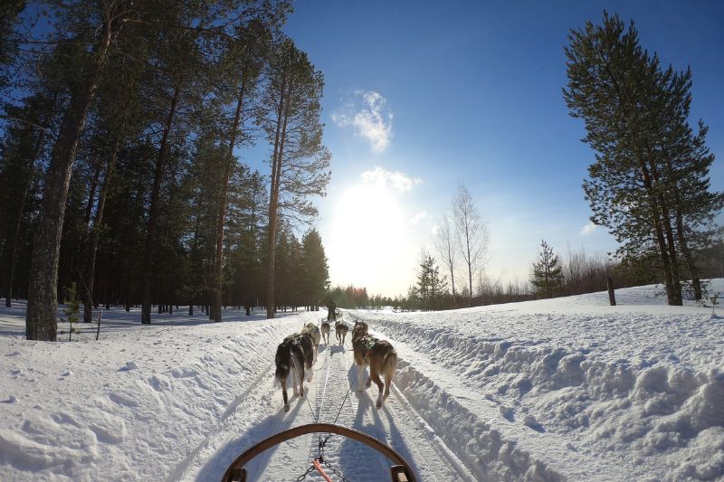 I migliori team building invernali per il tuo team